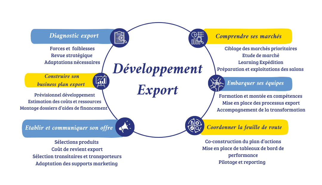 développement export développement export